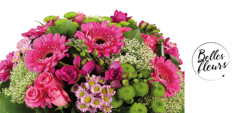 Bellesfleurs_800x380.png