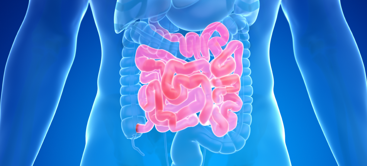 strevni-mikrobiom-wellbeing_1216x552px_3